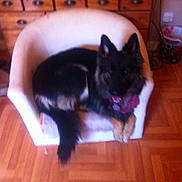Mika is registered to the contest to win money with this photo: