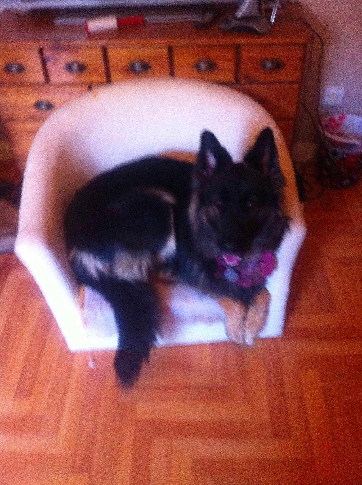 Mika