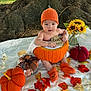 baby, pumpkin, orange_hat, orange_socks, fall_leaves, sunflowers, tree_trunk, outdoor, blanket, plush_pumpkin, plaid_pumpkin, red_pumpkin, baby_sitting, cute, seasonal, autumn, nature, child, smiling, portrait