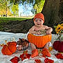 baby, pumpkin, orange_hat, autumn_leaves, outdoor, tree, grass, fall, cute, child, seasonal, nature, plaid_pumpkin, knit_hat, orange_socks, smiling, park, wooden_sign, baby_photography, fall_decor