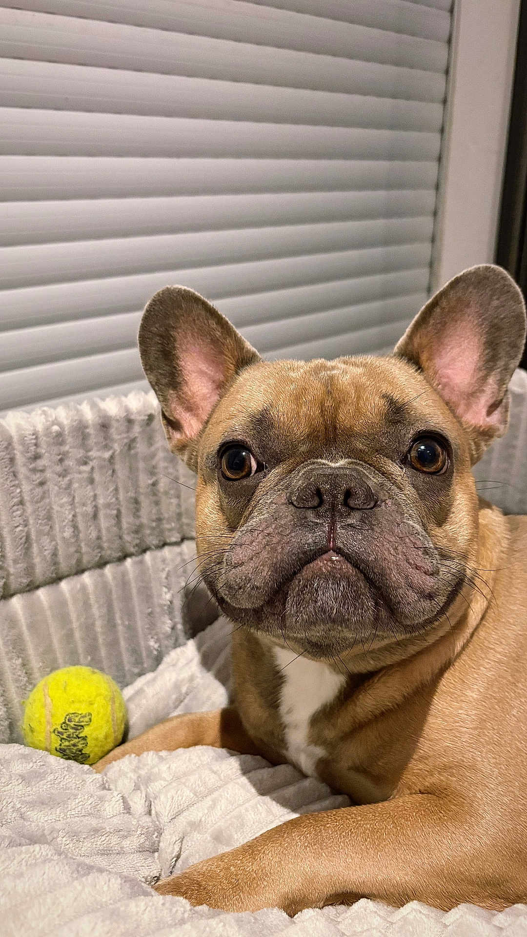 Laiko