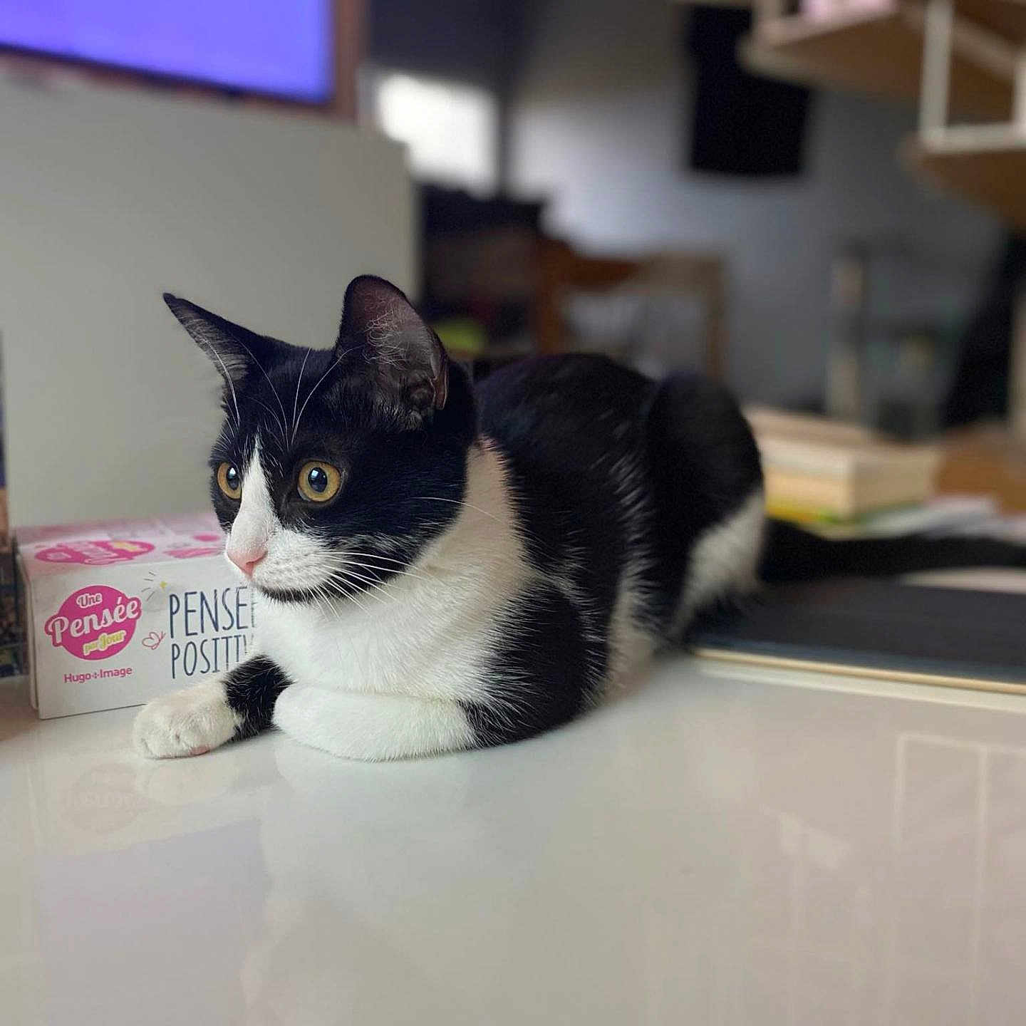 Mia