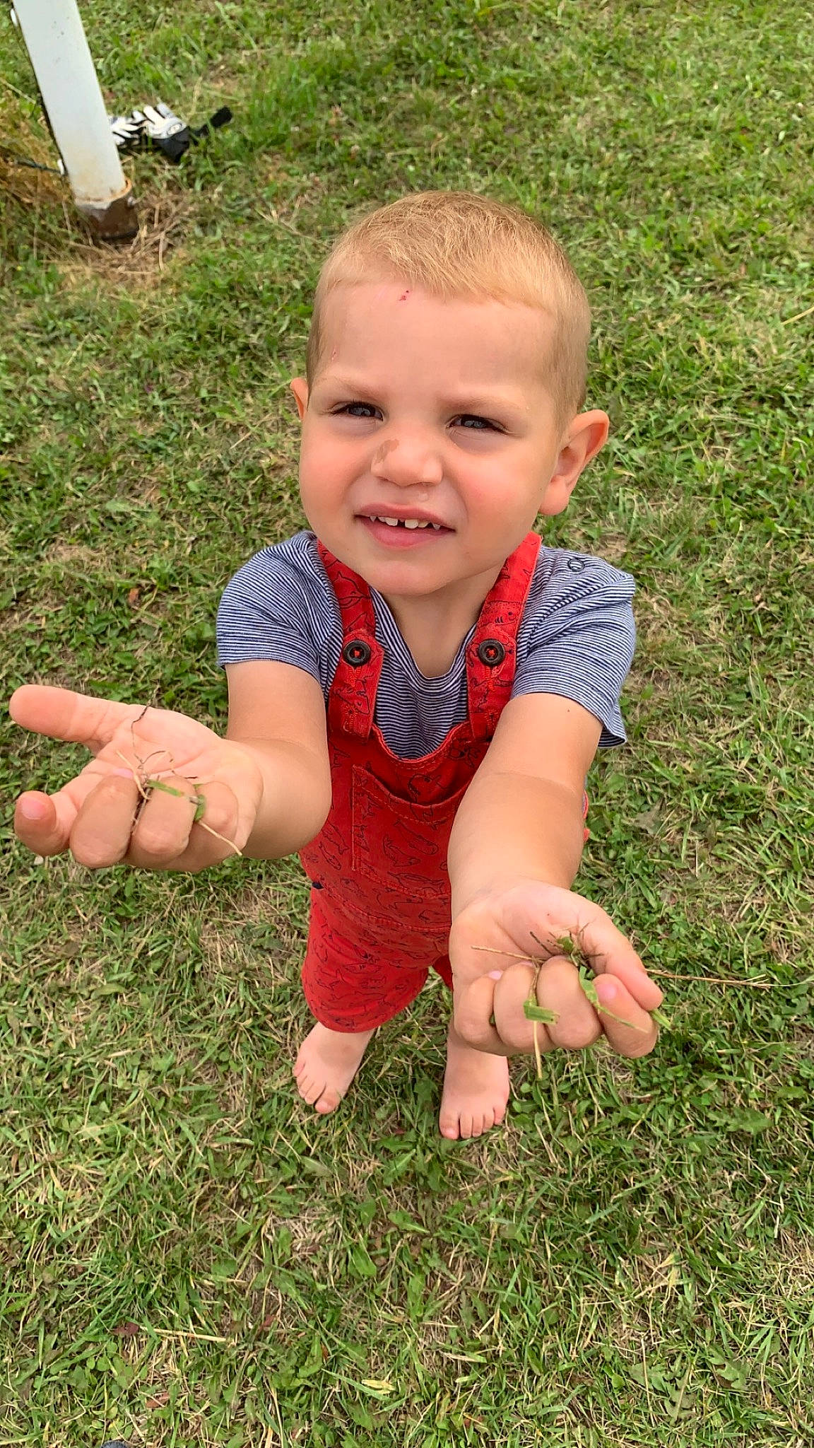 Tymaë participe au concours pour gagner de l'argent avec cette photo : baby, baby_toddler_clothing, child, face, finger, flooring, fun, gesture, grass, grass_family, grassland, happy, joy, lawn, leaf, people_in_nature, person, plant, smile, soil
