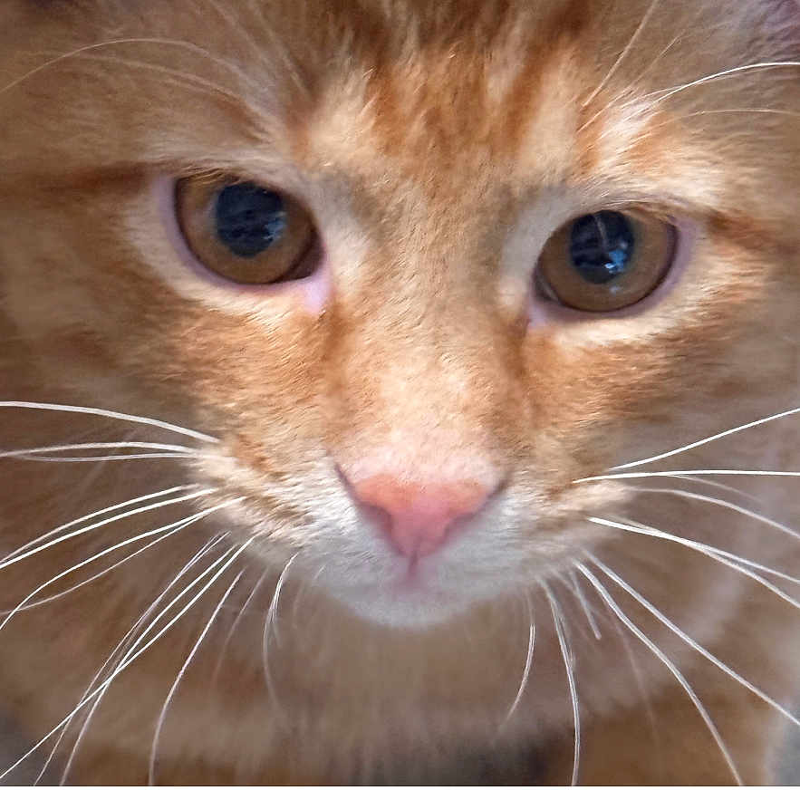 Copper