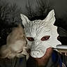 animal, blur, canine, closeup, companionship, costume, dark, dog, face_covering, headwear, mask, night, outdoor, person, pet, portrait, silhouette, small_dog, trees, wolf_mask