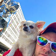 Goldie joined the competition — help win amazing prizes! dog, man, sunglasses, red_cap, white_dog, shoulder, sculpture, binary_code, blue_sky, reflection, outdoor, urban, art, portrait, pet, sunlight, building, leaf, tree, casual