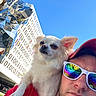 dog, man, sunglasses, red_cap, white_dog, shoulder, sculpture, binary_code, blue_sky, reflection, outdoor, urban, art, portrait, pet, sunlight, building, leaf, tree, casual