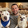 Storms And Golds joined the competition — help win amazing prizes! man, person, adult, face, smiling, portrait, dog, dogs, pit_bull, chihuahua, white_dog, blue_bandana, long-haired_dog, couch, sofa, blanket, living_room, houseplant, indoor, pets
