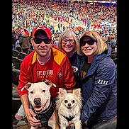 Storms And Golds joined the competition — help win amazing prizes! dogs, pit_bull, chihuahua, people, three_people, smiling, portrait, basketball_arena, sports_fans, basketball_court, crowd, stadium, spectators, team_jerseys, red_clothing, sunglasses, glasses, indoor, game_day, pet_photo