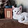 Kitty