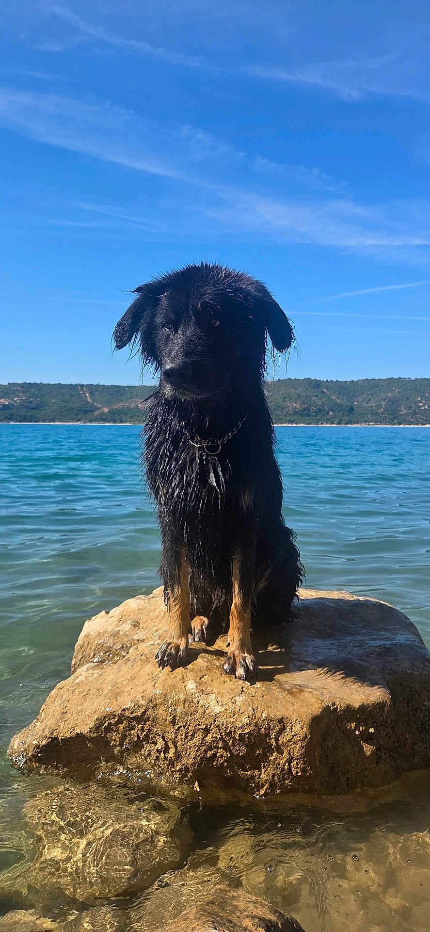 Rocky