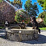 dog, fountain, flower, tree, bench, gravel, sunlight, shadow, leash, outdoor, park, building, sky, greenery, nature, pet, animal, summer, daytime, landscape