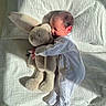 baby, newborn, plush_toy, bunny, cuddle, sleeping, blanket, white, soft, bed, sunlight, shadow, infant, onesie, peaceful, cozy, child, cute, resting, indoors