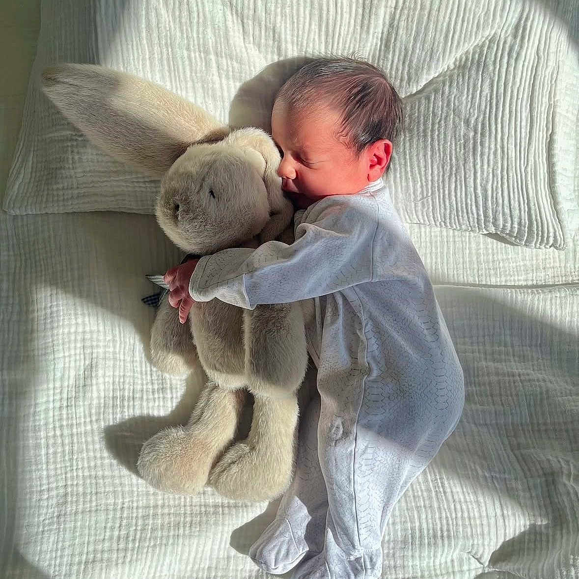 Atharv is registered to the contest to win money with this photo: baby, newborn, plush_toy, bunny, cuddle, sleeping, blanket, white, soft, bed, sunlight, shadow, infant, onesie, peaceful, cozy, child, cute, resting, indoors