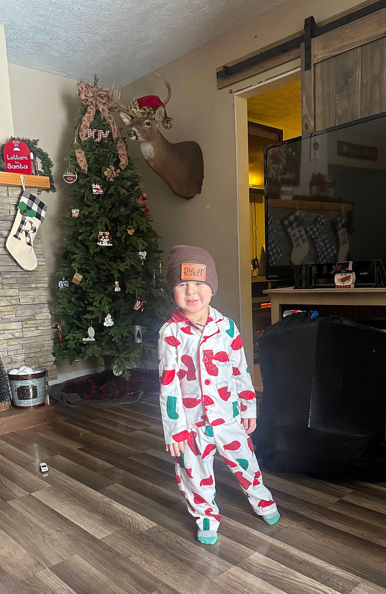Ryker joined the competition — help win amazing prizes! christmas, christmas_decoration, christmas_eve, christmas_ornament, christmas_tree, conifer, event, flooring, hardwood, headwear, holiday, holiday_ornament, home, home_appliance, living_room, ornament, pajamas, person, room, tradition