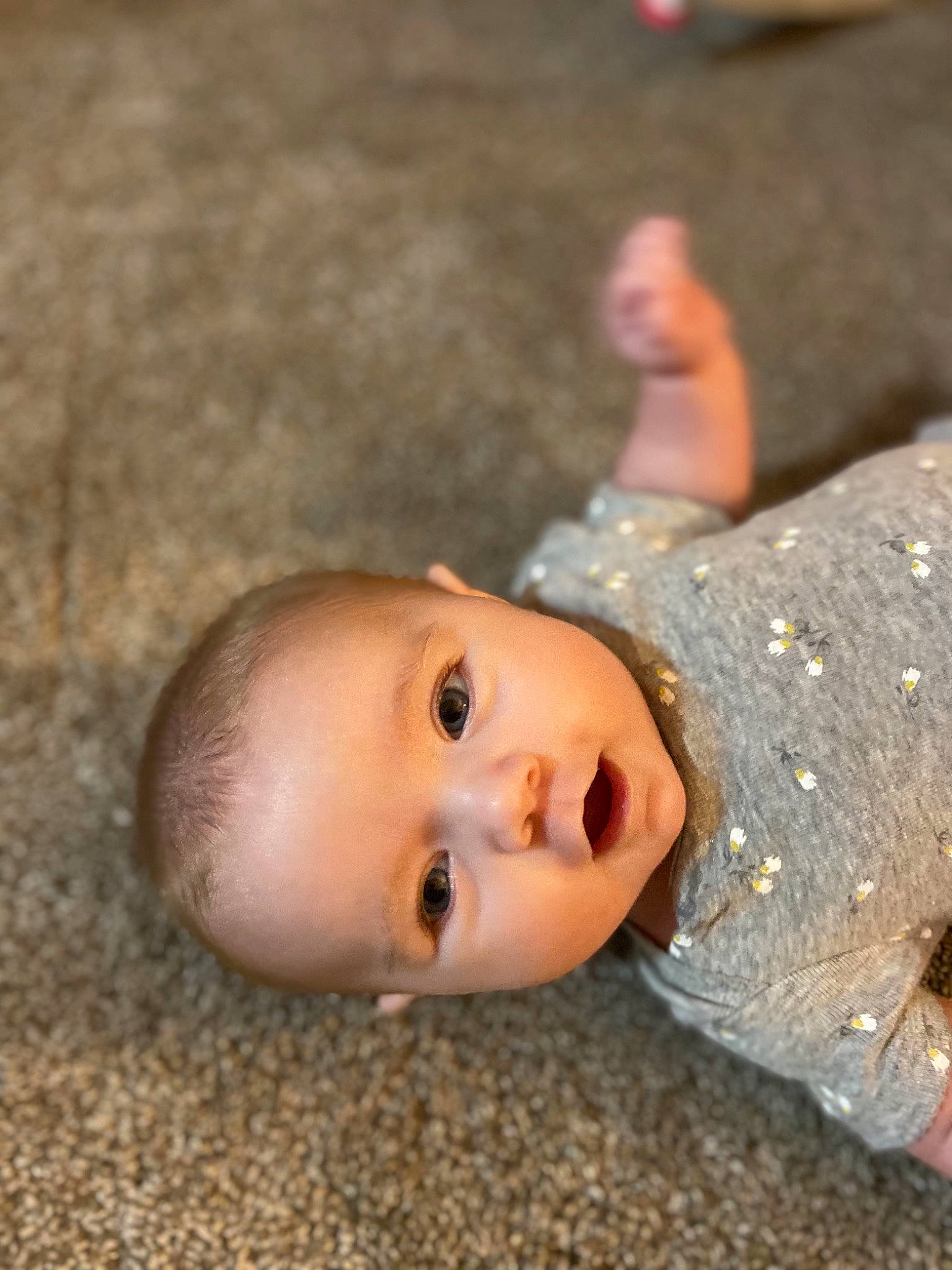 Ayva joined the competition — help win amazing prizes! baby, baby_products, baby_toddler_clothing, cheek, finger, flooring, fun, fur, grass, happy, human_body, iris, lip, nose, person, sitting, smile, snout, toddler, tree