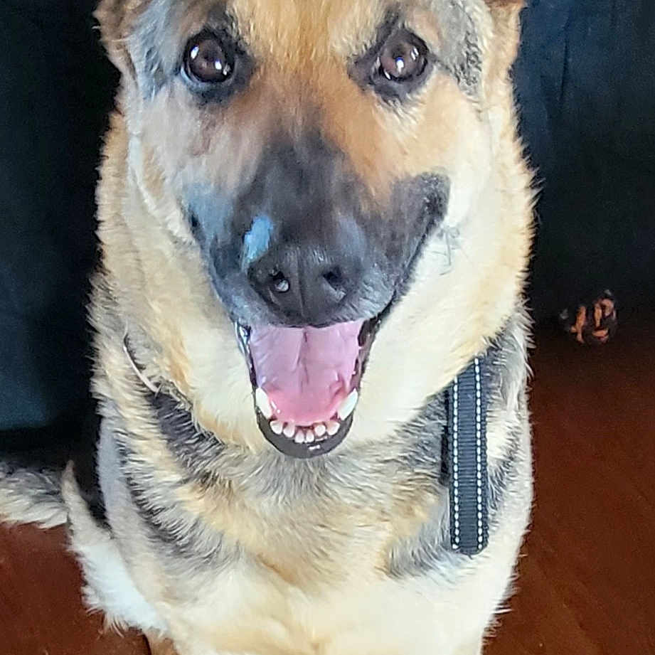 Ali