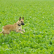 Lawson a rejoint le concours — aidez-le/la à gagner de superbes lots !