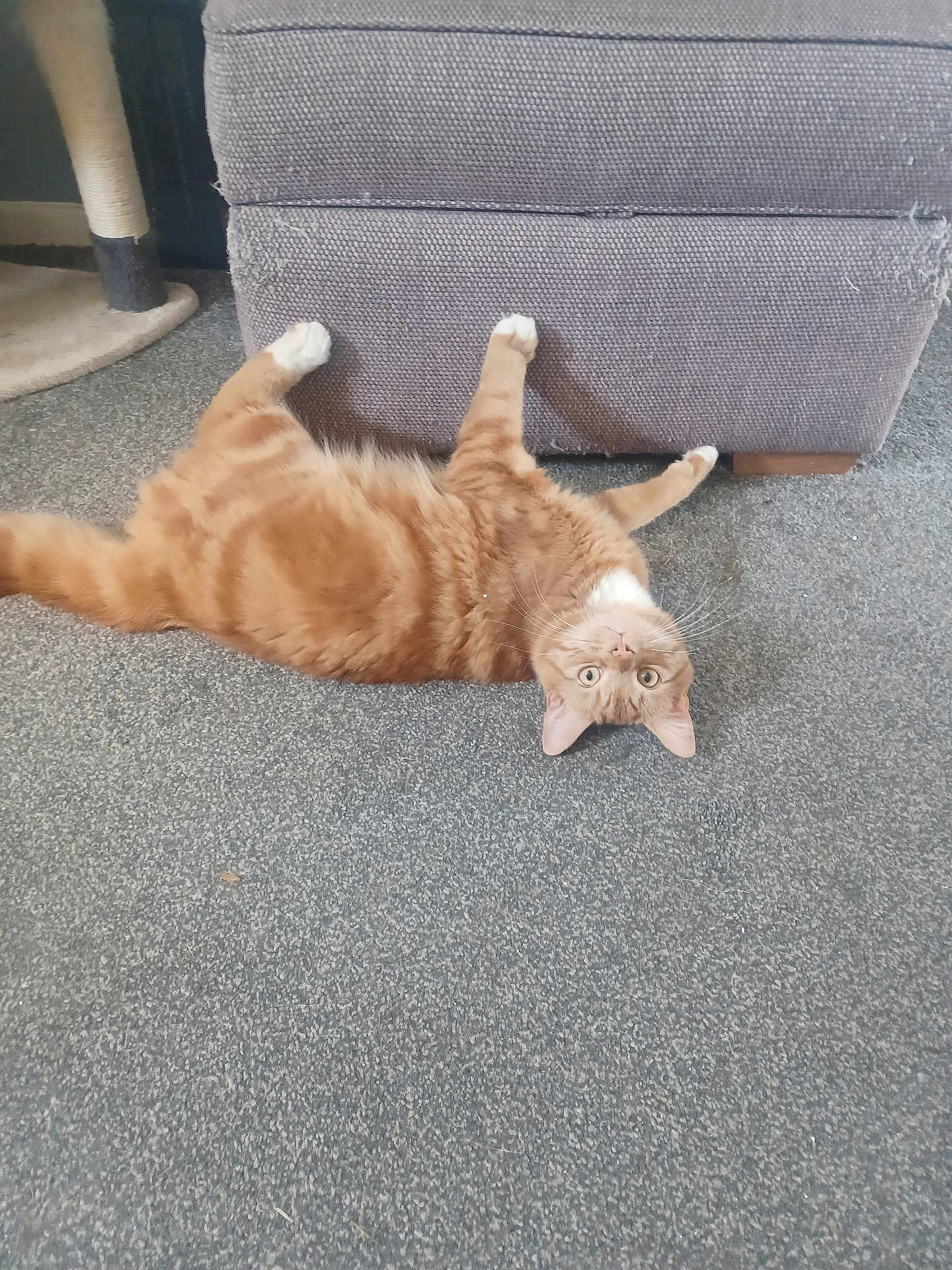 Pablo
