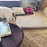 animal, blanket, book, carpet, cushion, decor, dog, dog_bed, floor, furniture, home, indoor, living_room, pet, pillow, reading_material, sign, table, television, wooden_table