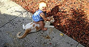Scar joined the competition — help win amazing prizes! animal, baby, blue_clothing, cat, child, closeup, concrete, daylight, grass, happy, hugging, mulch, nature, outdoor, pet, playful, shadow, sitting, smiling, sunlight