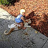 animal, baby, blue_clothing, cat, child, closeup, concrete, daylight, grass, happy, hugging, mulch, nature, outdoor, pet, playful, shadow, sitting, smiling, sunlight