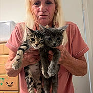 Scar And Lika joined the competition — help win amazing prizes! woman, elderly, blonde_hair, kitten, tabby_cat, gray_cat, indoor, holding, pets, furniture, dresser, door, casual_clothing, pink_shirt, hands, face, animal, cute, domestic