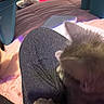 Scar And Lika joined the competition — help win amazing prizes! cat, pet, lap, furniture, blanket, table, indoor, soft_lighting, cozy, resting, animal, fur, paw, clothing, fabric, shadow, blur, comfort, relaxation, home
