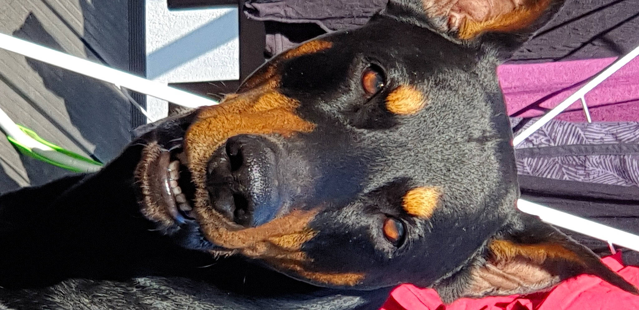 Aîto