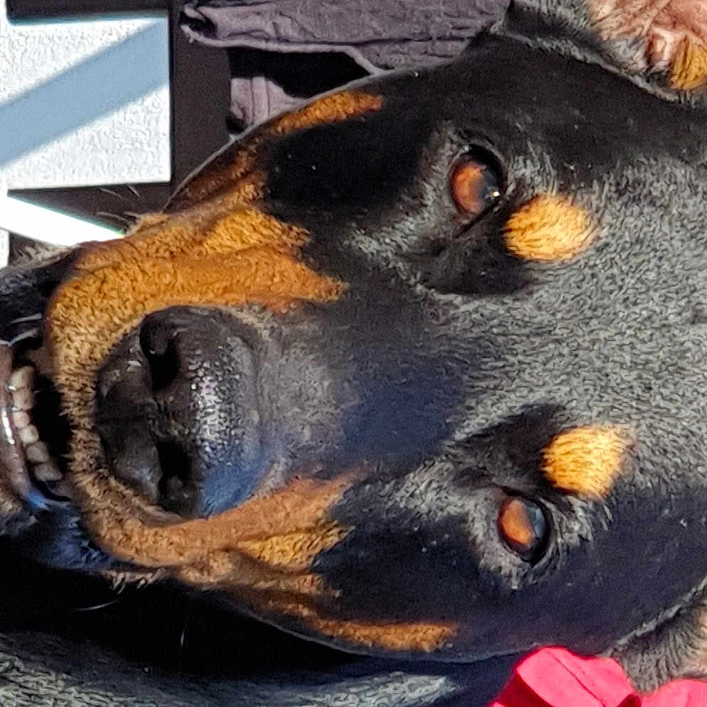 Aîto