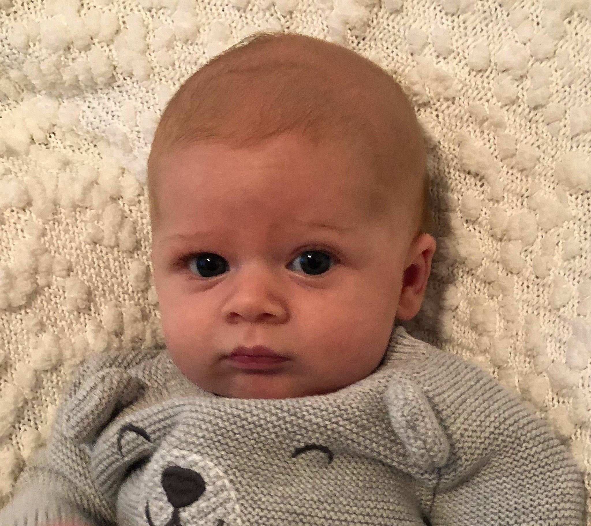 Montgomery is registered to the contest to win money with this photo: baby, baby_making_funny_faces, cheek, child, chin, close_up, eye, face, forehead, head, iris, lip, mouth, nose, person, skin, toddler, wool