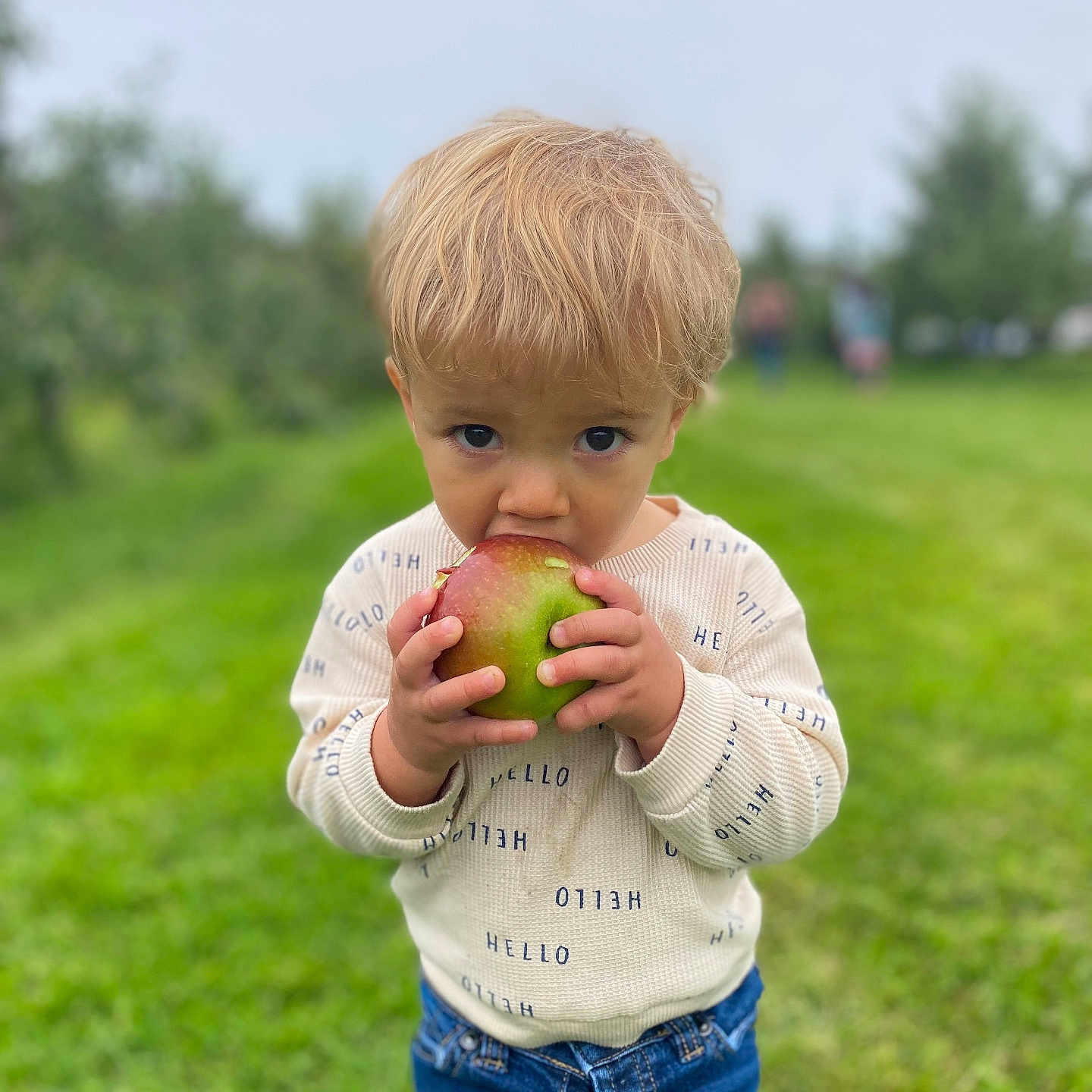 Nikolas is registered to the contest to win money with this photo: apple, bodypart, boy, child, clothing, eating, face, finger, food, fruit, grass, head, jeans, male, pants, person, photography, plant, portrait, produce
