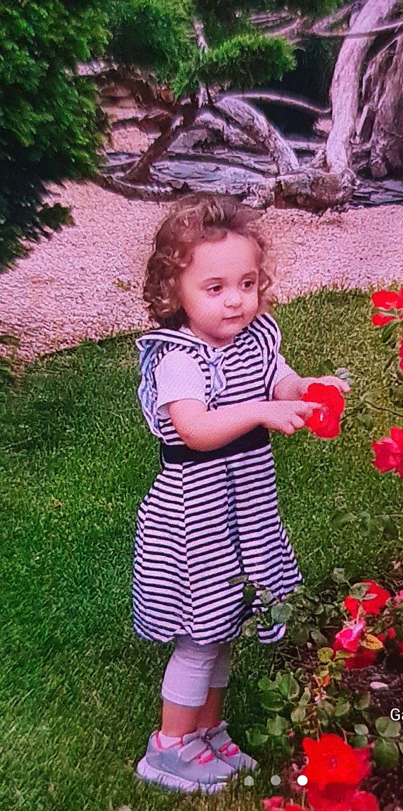 Layanha a rejoint le concours — aidez-le/la à gagner de superbes lots ! annual_plant, baby, baby_toddler_clothing, botany, child, flower, fun, garden, grass, grass_family, happy, magenta, nature, pattern, people_in_nature, person, petal, pink, plant, rose