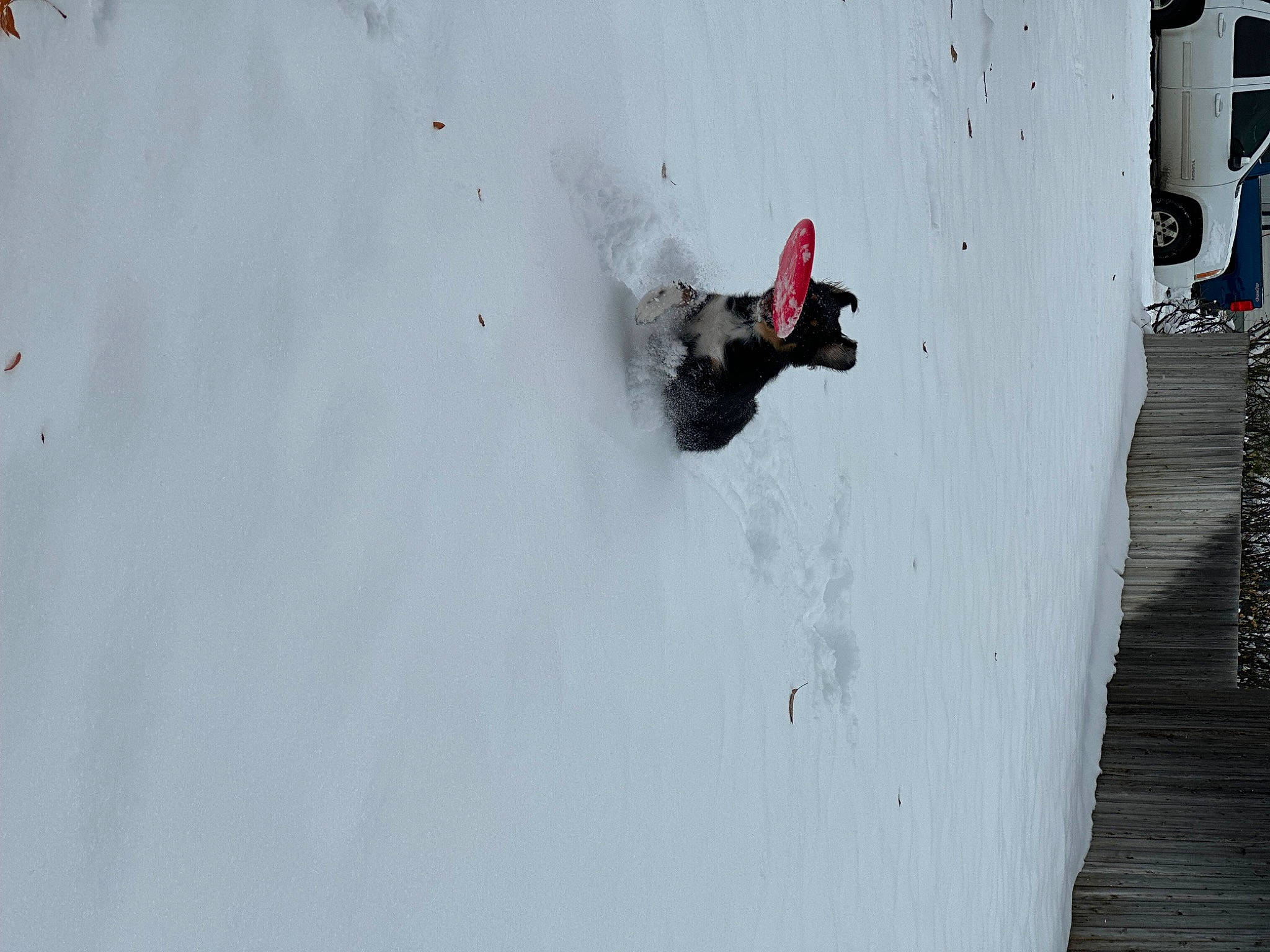 Keno joined the competition — help win amazing prizes! adventure, boardsport, extreme_sport, freezing, fun, glacial_landform, glove, ice_cap, landscape, mountaineer, outdoor_recreation, recreation, ski_equipment, slope, snow, sports, sports_equipment, terrain, winter, winter_sport