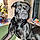 Edgar