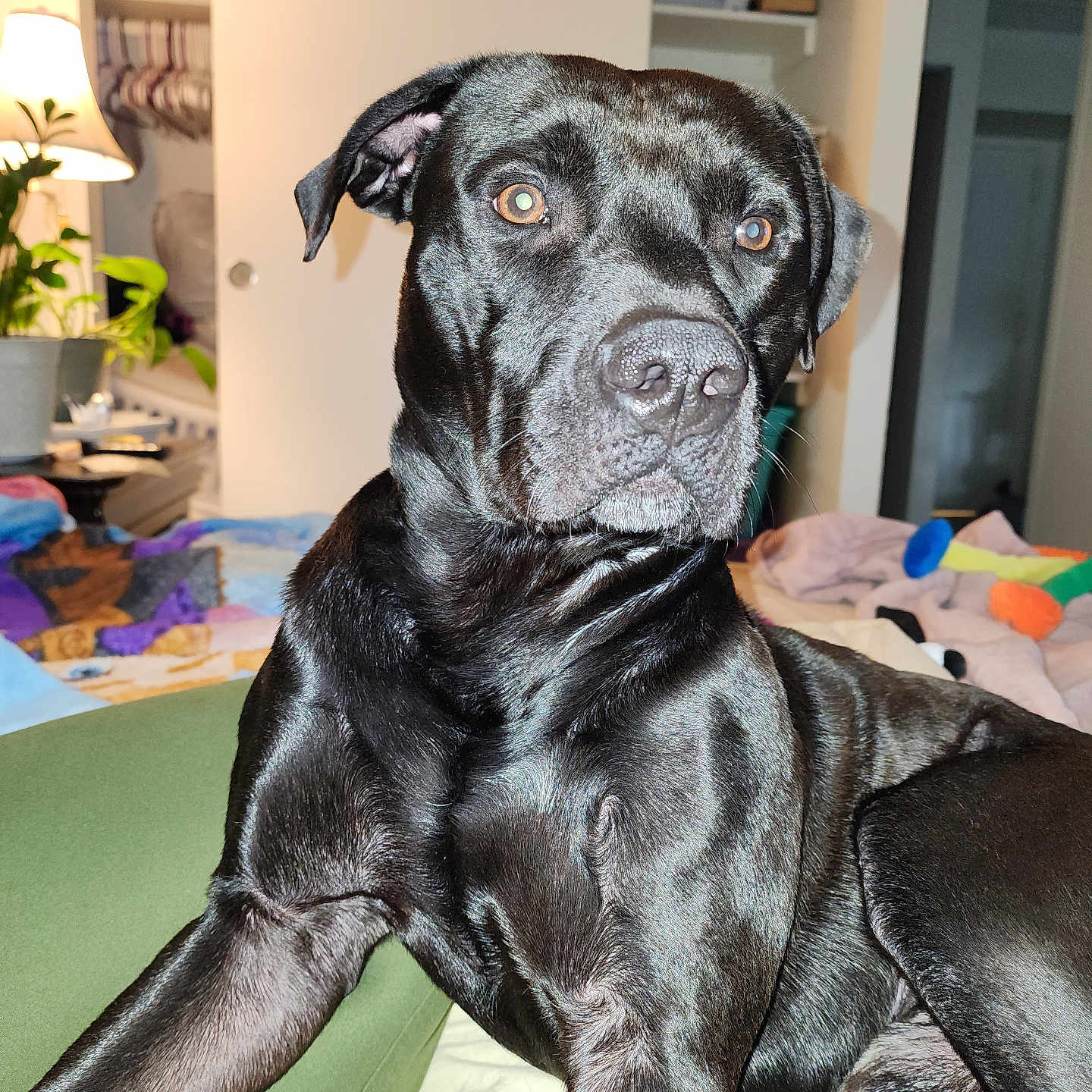 Edgar