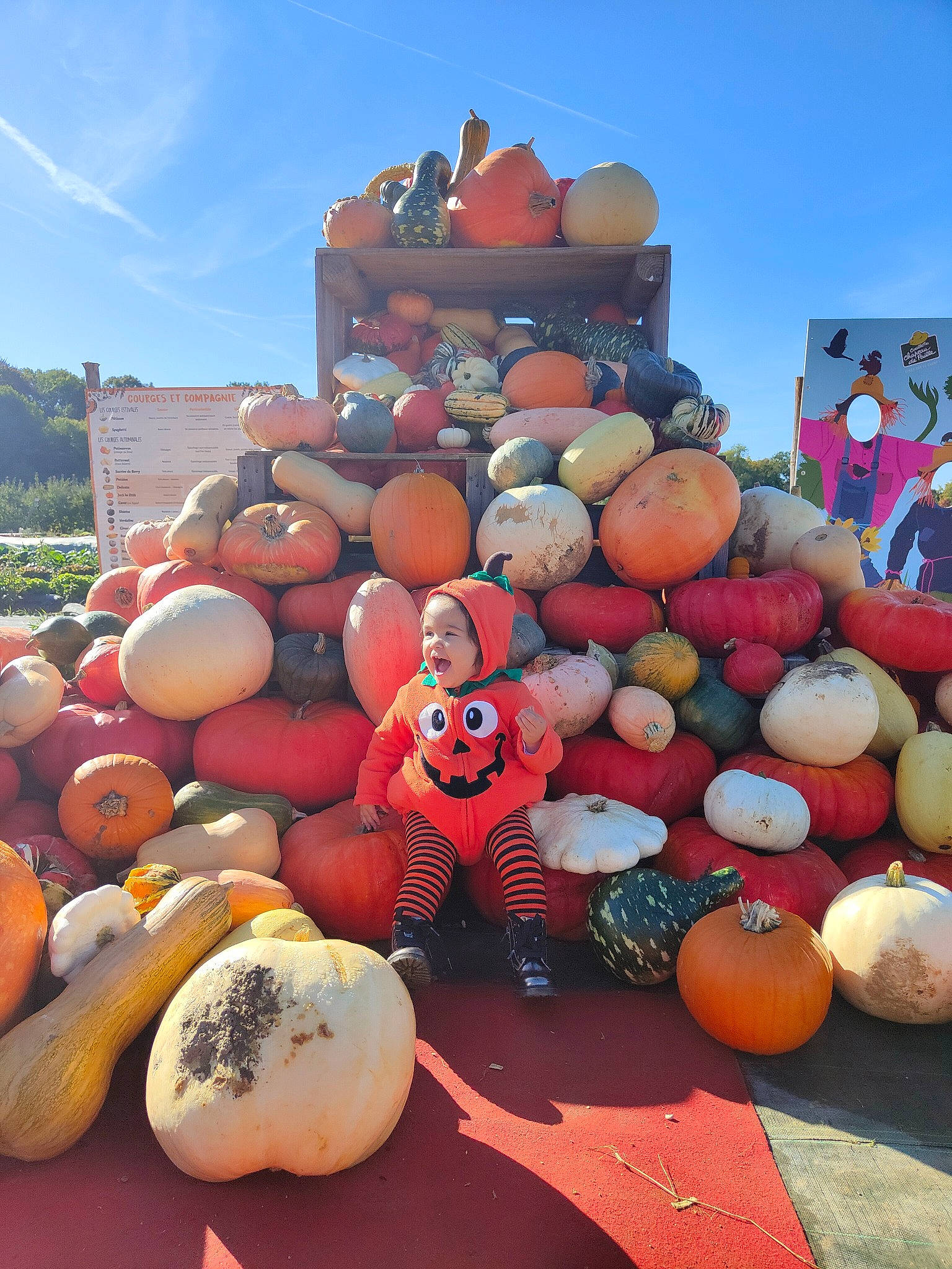 Ysée participe au concours pour gagner de l'argent avec cette photo : art, calabaza, cloud, cucurbita, event, gourd, headwear, landscape, local_food, natural_foods, orange, person, plant, pumpkin, recreation, sky, still_life, tree, vegetable, whole_food