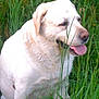 Sultan participe au concours pour gagner de l'argent avec cette photo :