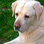 Sultan participe au concours pour gagner de l'argent avec cette photo :