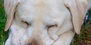 Sultan participe au concours pour gagner de l'argent avec cette photo :
