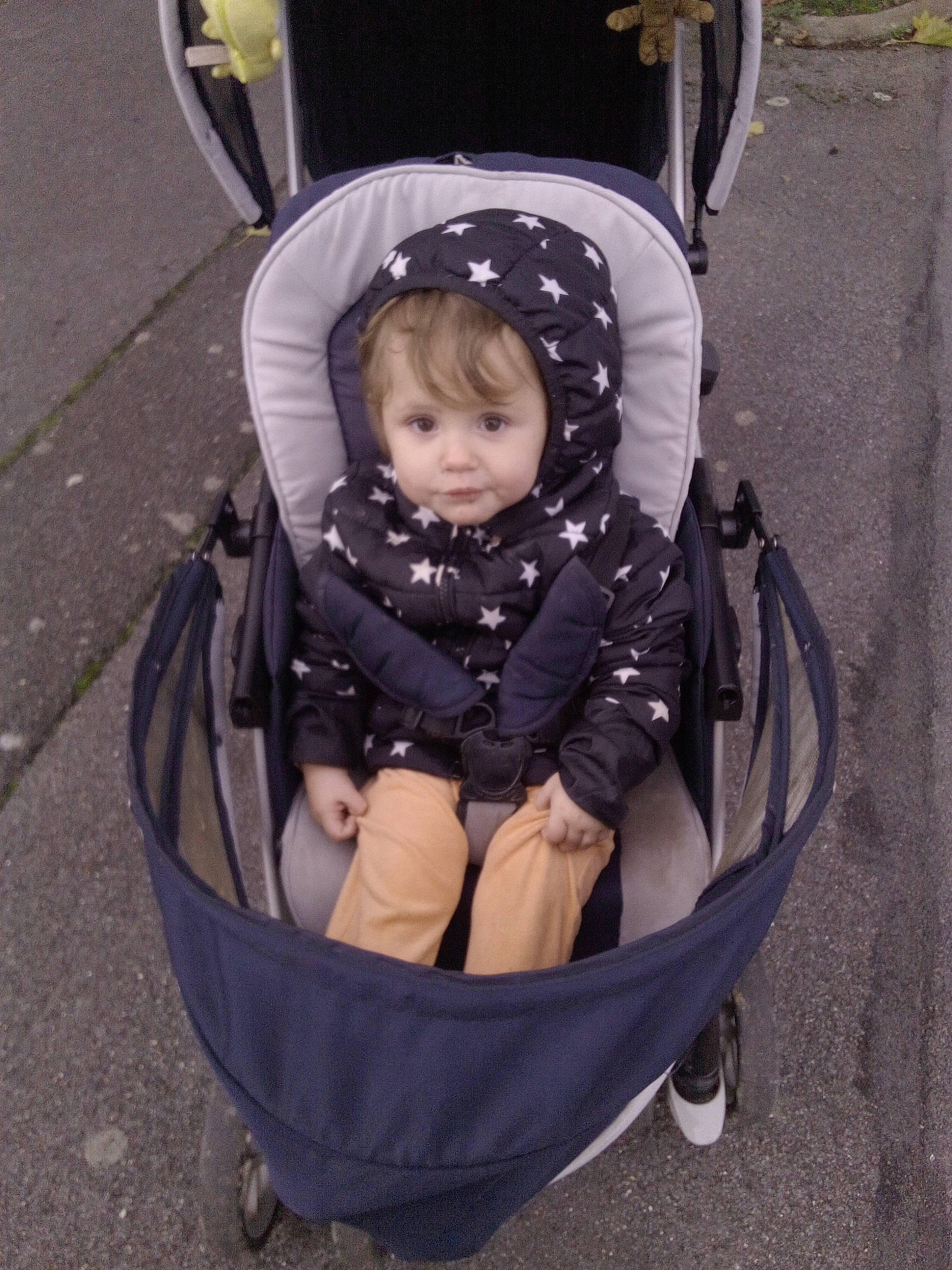 Louisa participe au concours pour gagner de l'argent avec cette photo : auto_part, baby, baby_carriage, baby_products, chair, child, circle, comfort, eye, face, fun, grass, head, human_body, leisure, motor_vehicle, person, product, sitting, toddler