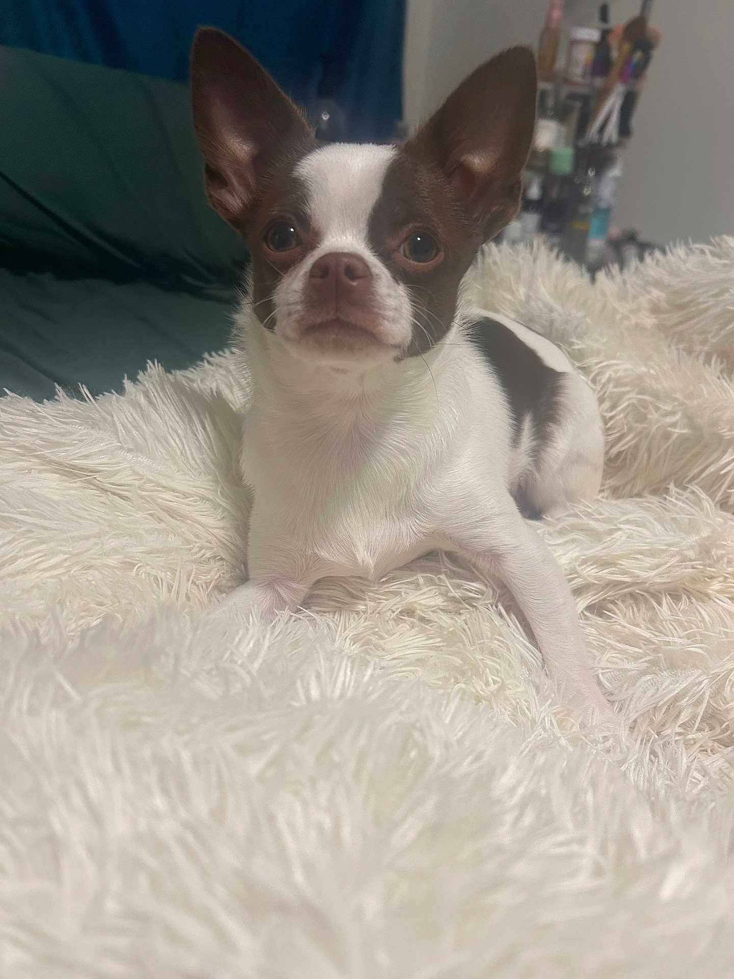 Mij Micheal Mortimer