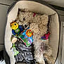 dog, bed, toy, blanket, sleeping, curly_fur, indoor, cozy, pet, relaxed, comfort, cute, animal, napping, collar, floor, paw, stuffed_toy, rest, home