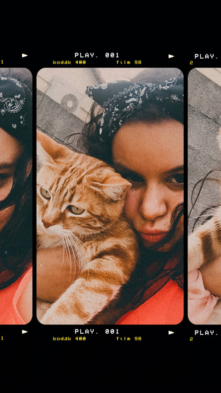 Tygrou a rejoint le concours — aidez-le/la à gagner de superbes lots ! adaptation, art, cat, collage, communication_device, eyelash, felidae, flash_photography, flesh, font, fur, gadget, gesture, happy, multimedia, organism, photo_caption, photography, photomontage, screenshot