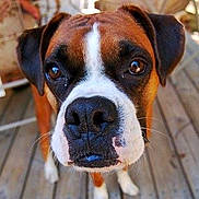 Lance is registered to the contest to win money with this photo: