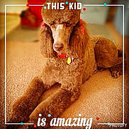 Bonnie joined the competition — help win amazing prizes!
