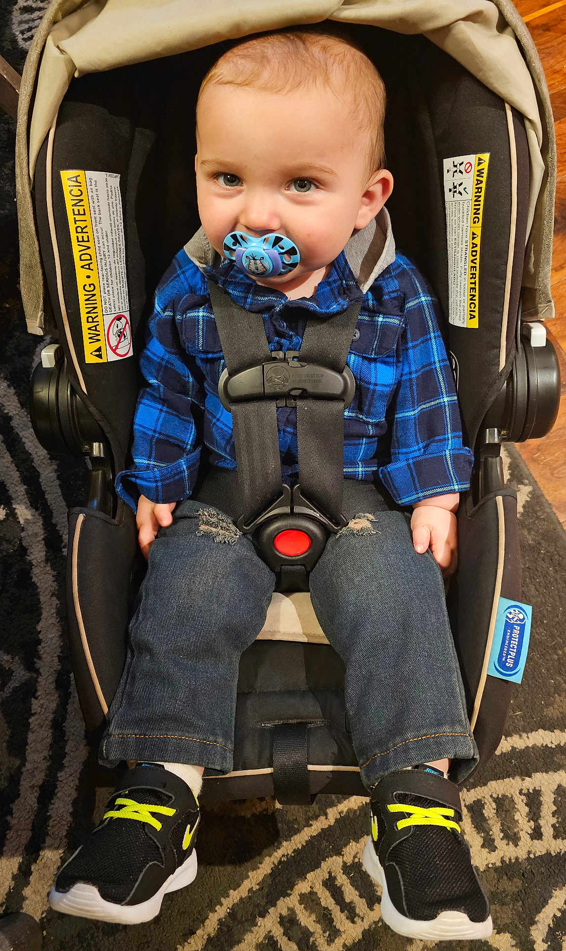Cash is registered to the contest to win money with this photo: toddler, child, car_seat, pacifier, blue_shirt, plaid, jeans, sneakers, black_shoes, yellow_laces, carpet, indoor, straps, safety_harness, cute, baby, person, footwear, clothing, seat