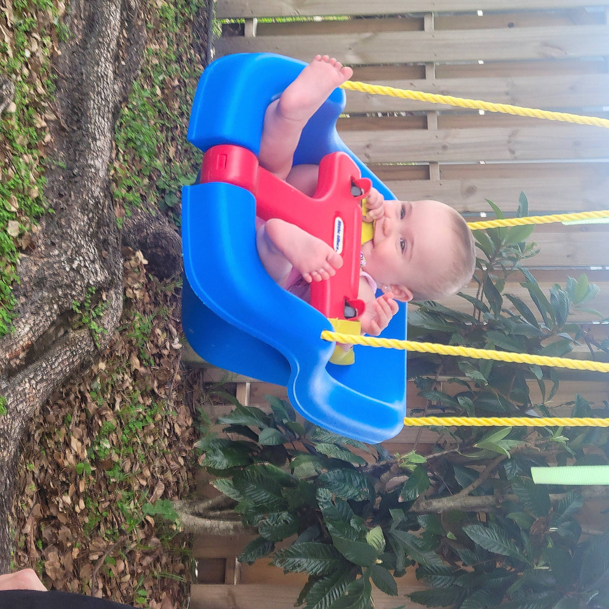 Kinsley joined the competition — help win amazing prizes! baby_toddler_clothing, child, city, electric_blue, fun, leisure, outdoor_play_equipment, person, plant, plastic, play, recreation, shorts, soil, toddler, vacation, water