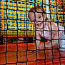 Everlyn is registered to the contest to win money with this photo: toddler, child, smiling, crawling, playground, indoor_play_area, net, safety_net, colorful, yellow, blue, orange, padded_floor, happy, cute, person, young_child, fun, play, casual_clothing