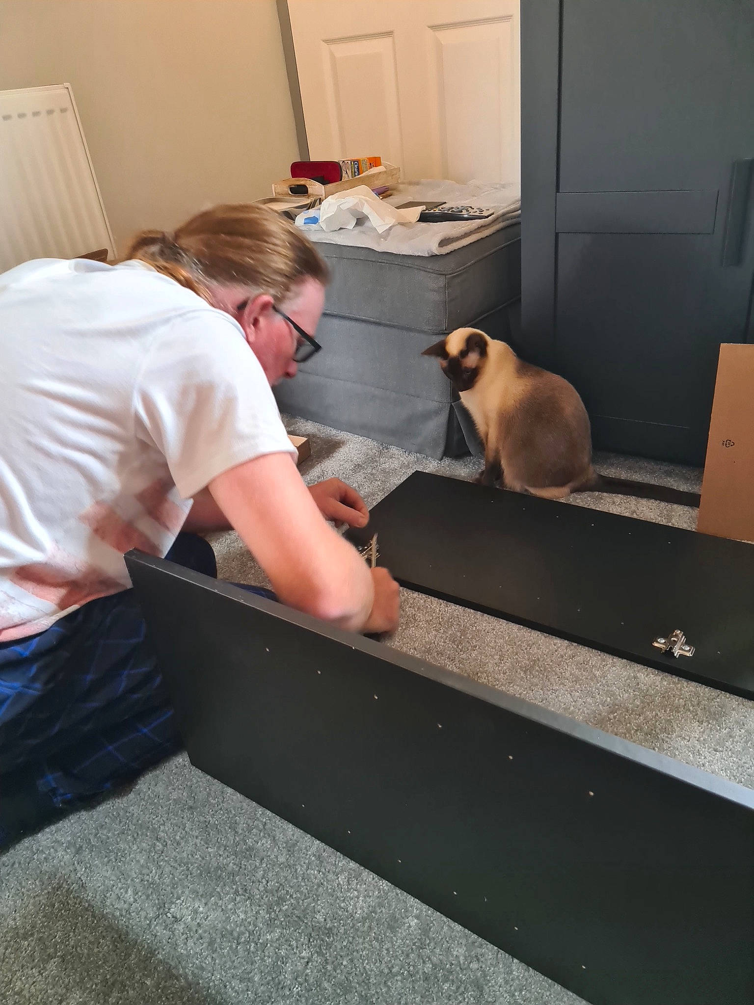 Tabitha is registered to the contest to win money with this photo: carnivore, cat, companion_dog, cooking, curtain, eyewear, fawn, felidae, flooring, hardwood, home_appliance, human_leg, kitchen, room, sitting, small_to_medium_sized_cats, t_shirt, wood